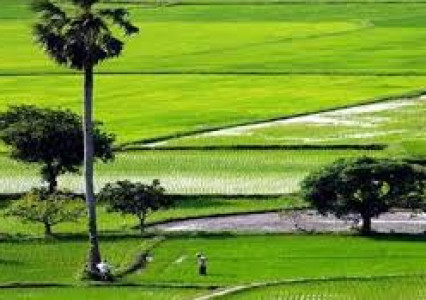 Giới thiệu ngành Quản lý đất đai