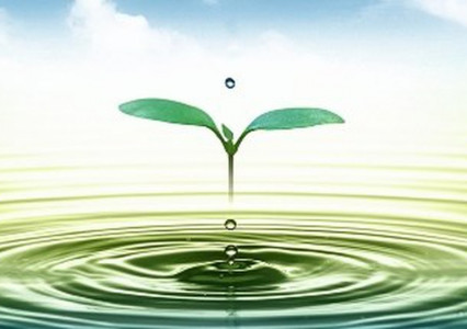 Giới thiệu ngành Kinh tế Tài nguyên thiên nhiên